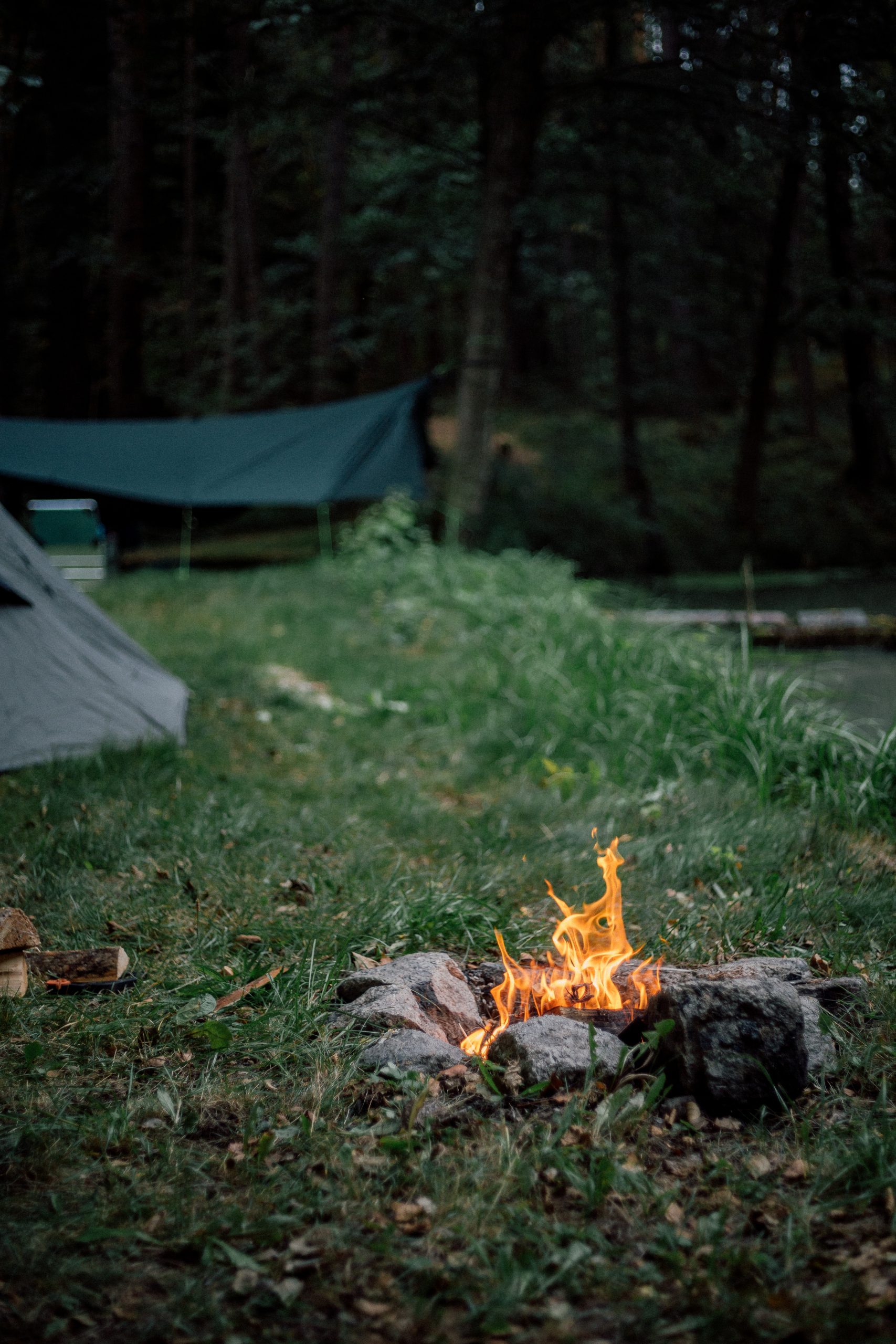 Campfire image